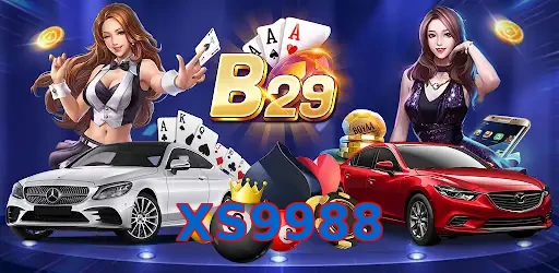 XS9988