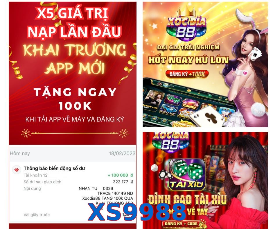 XS9988